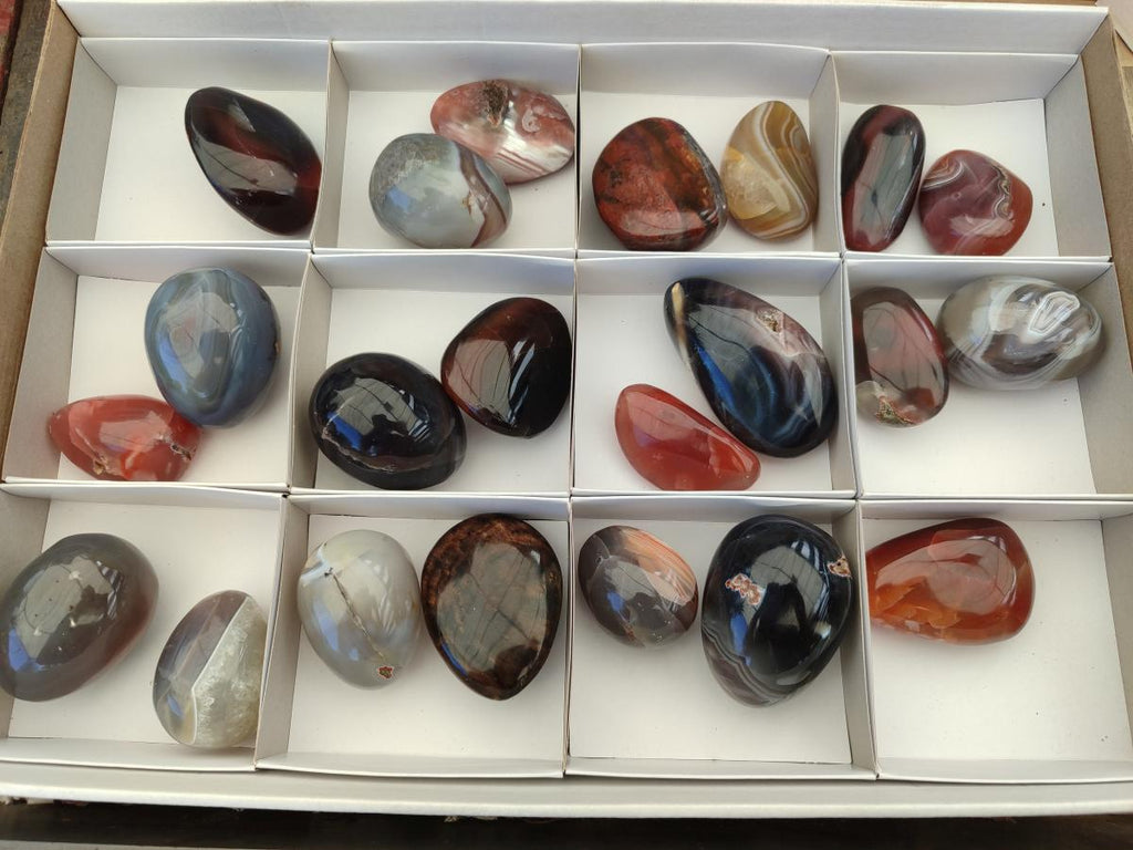 Polished Mixed Red Shashe River Agate Eggs and Free Forms x 20 From Shashe River, Zimbabwe - Toprock Gemstones and Minerals 