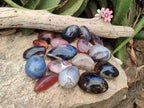 Polished Mixed Red Shashe River Agate Eggs and Free Forms x 20 From Shashe River, Zimbabwe - Toprock Gemstones and Minerals 