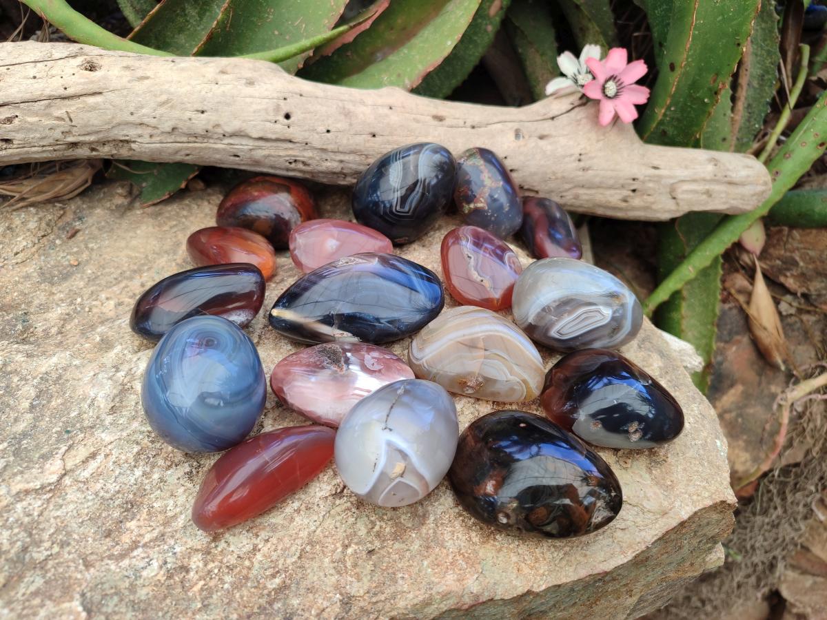Polished Mixed Red Shashe River Agate Eggs and Free Forms x 20 From Shashe River, Zimbabwe - Toprock Gemstones and Minerals 