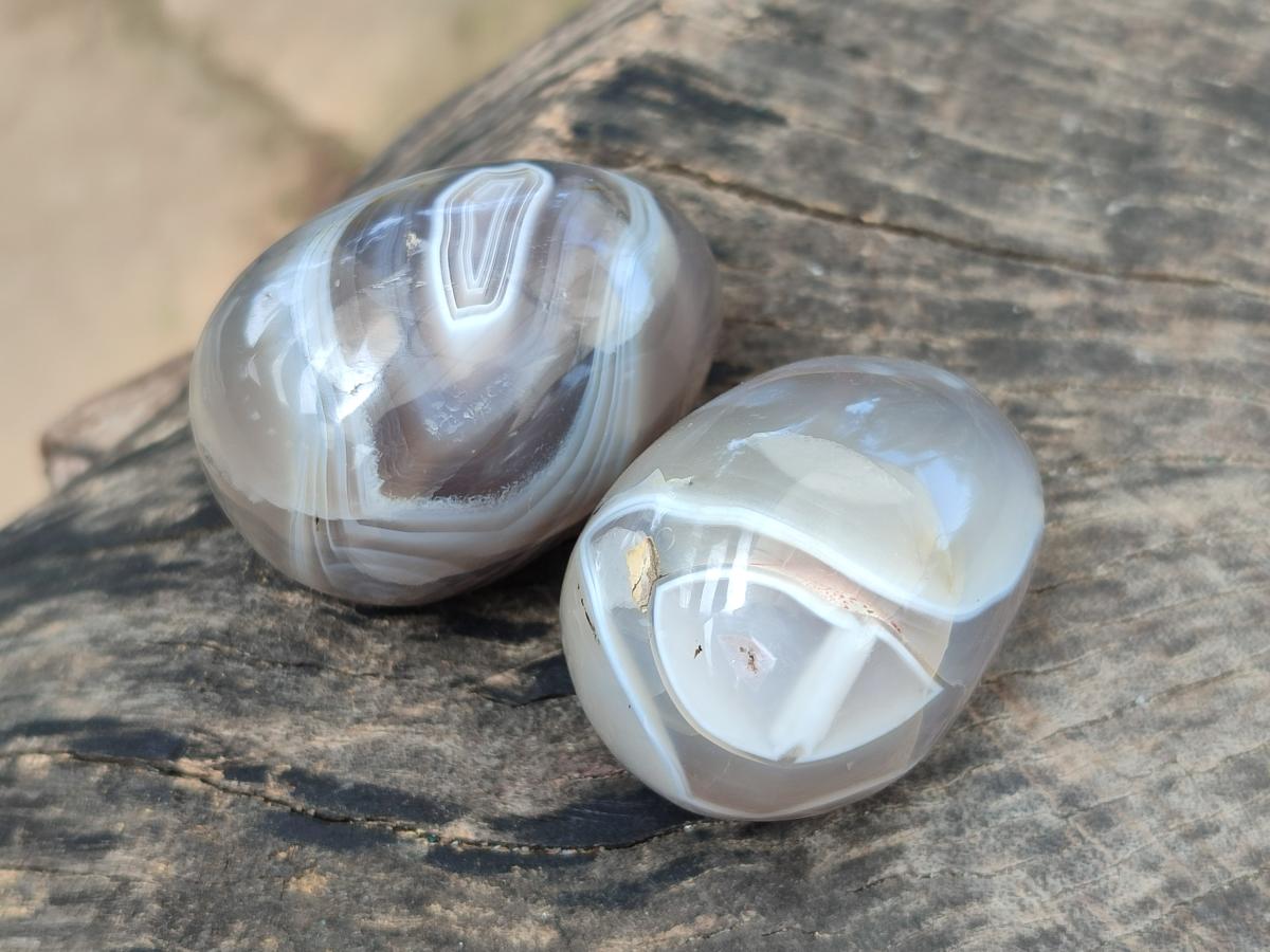 Polished Mixed Red Shashe River Agate Eggs and Free Forms x 20 From Shashe River, Zimbabwe - Toprock Gemstones and Minerals 