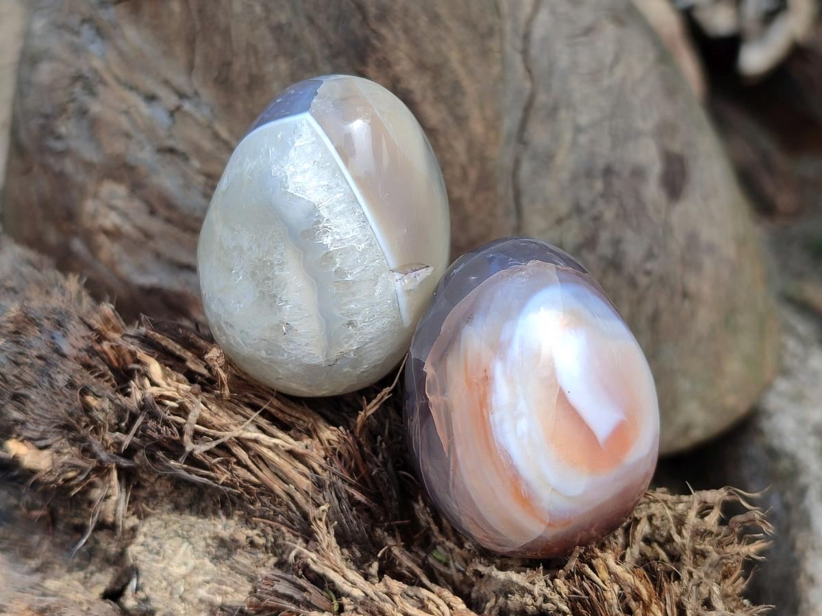 Polished Mixed Red Shashe River Agate Eggs and Free Forms x 20 From Shashe River, Zimbabwe - Toprock Gemstones and Minerals 