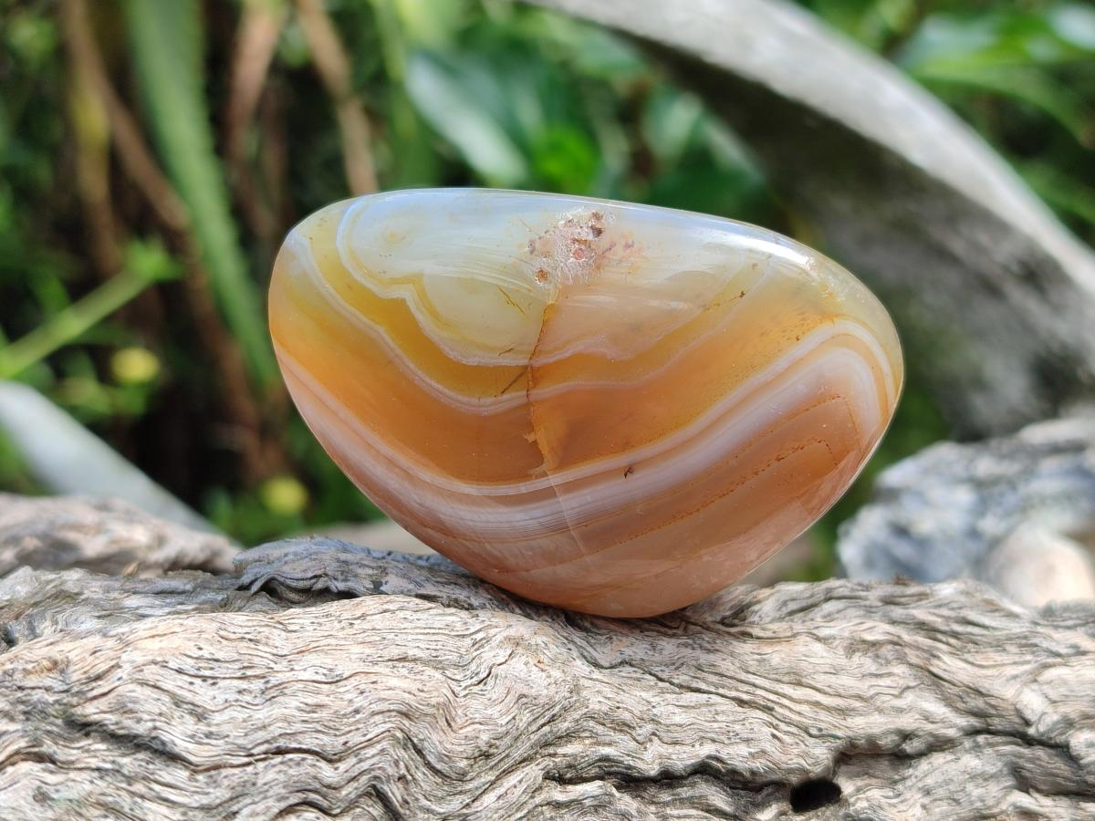 Polished Mixed Red Shashe River Agate Eggs and Free Forms x 20 From Shashe River, Zimbabwe - Toprock Gemstones and Minerals 