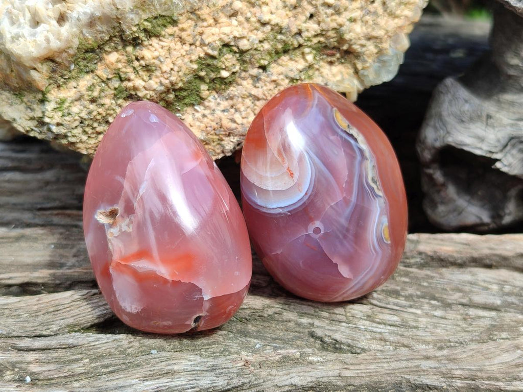 Polished Mixed Red Shashe River Agate Eggs and Free Forms x 20 From Shashe River, Zimbabwe - Toprock Gemstones and Minerals 