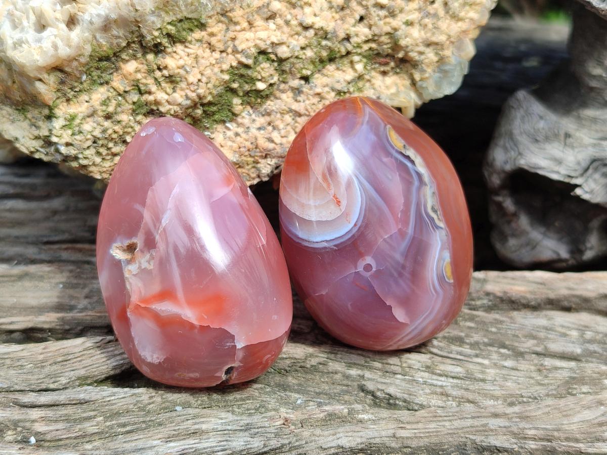 Polished Mixed Red Shashe River Agate Eggs and Free Forms x 20 From Shashe River, Zimbabwe - Toprock Gemstones and Minerals 