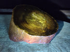 Polished On One Side Dadoxylon Petrified Wood Tree Branches x 2 From Gokwe, Zimbabwe - Toprock Gemstones and Minerals 