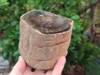 Polished On One Side Dadoxylon Petrified Wood Tree Branches x 2 From Gokwe, Zimbabwe - Toprock Gemstones and Minerals 