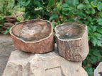 Polished On One Side Dadoxylon Petrified Wood Tree Branches x 2 From Gokwe, Zimbabwe - Toprock Gemstones and Minerals 