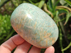 Polished Amazonite Free Forms x 8 From Zimbabwe - Toprock Gemstones and Minerals 