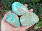 Polished Amazonite Free Forms x 8 From Zimbabwe - Toprock Gemstones and Minerals 