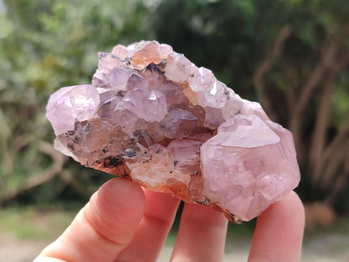 Natural Amethyst Spirit Clusters x 12 From Boekenhouthoek, South Africa - Toprock Gemstones and Minerals 