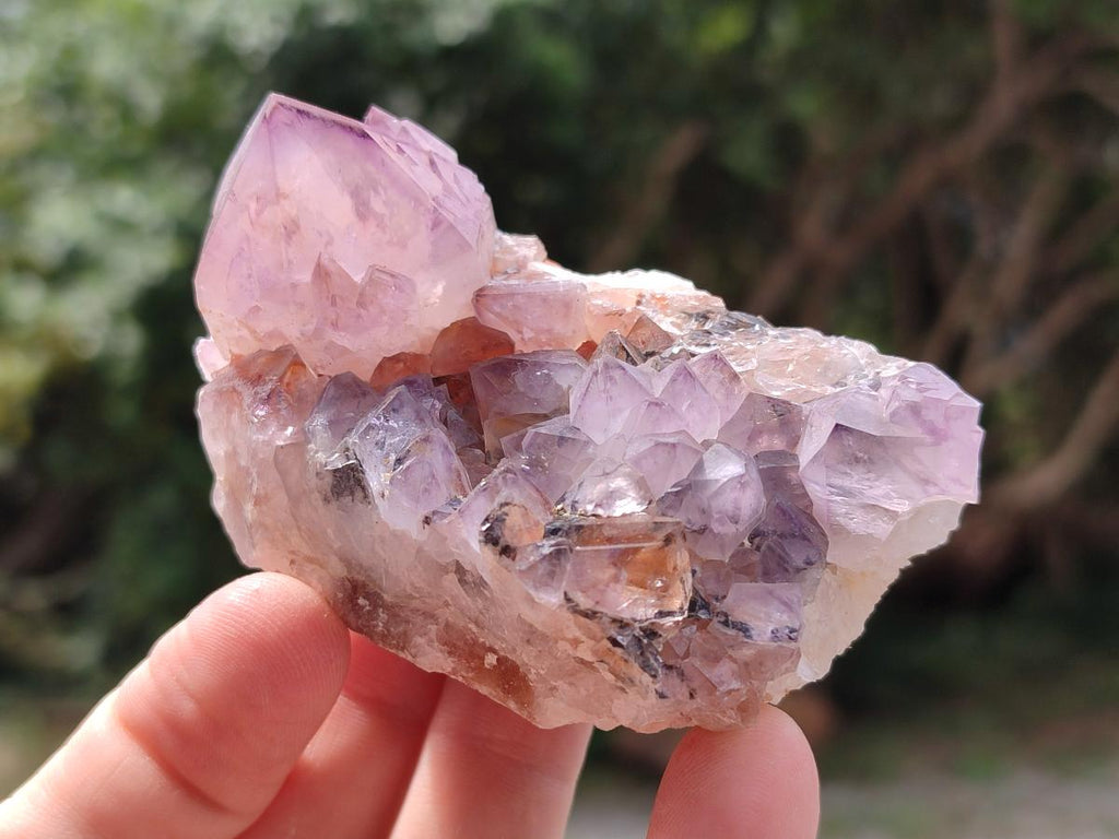 Natural Amethyst Spirit Clusters x 12 From Boekenhouthoek, South Africa - Toprock Gemstones and Minerals 