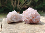 Natural Amethyst Spirit Clusters x 12 From Boekenhouthoek, South Africa - Toprock Gemstones and Minerals 
