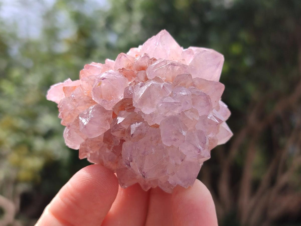 Natural Amethyst Spirit Clusters x 12 From Boekenhouthoek, South Africa - Toprock Gemstones and Minerals 