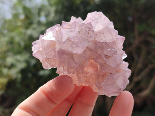 Natural Amethyst Spirit Clusters x 12 From Boekenhouthoek, South Africa - Toprock Gemstones and Minerals 