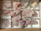 Natural Amethyst Spirit Clusters x 12 From Boekenhouthoek, South Africa - Toprock Gemstones and Minerals 