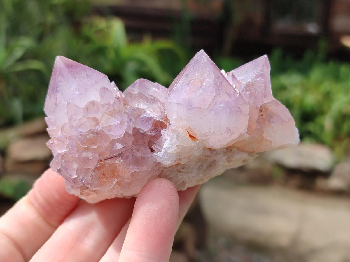 Natural Amethyst Spirit Clusters x 12 From Boekenhouthoek, South Africa - Toprock Gemstones and Minerals 