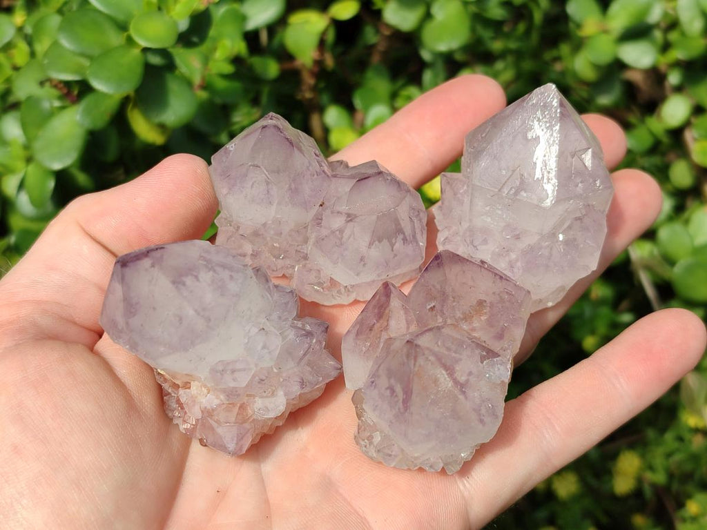 Natural Amethyst Spirit Clusters x 12 From Boekenhouthoek, South Africa - Toprock Gemstones and Minerals 