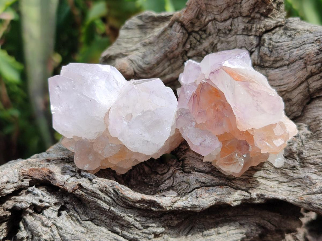 Natural Amethyst Spirit Clusters x 12 From Boekenhouthoek, South Africa - Toprock Gemstones and Minerals 