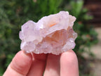 Natural Amethyst Spirit Clusters x 12 From Boekenhouthoek, South Africa - Toprock Gemstones and Minerals 