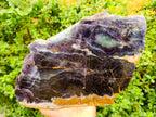 Polished Large Watermelon Fluorite Slice x 1 From Uis, Namibia - Toprock Gemstones and Minerals 