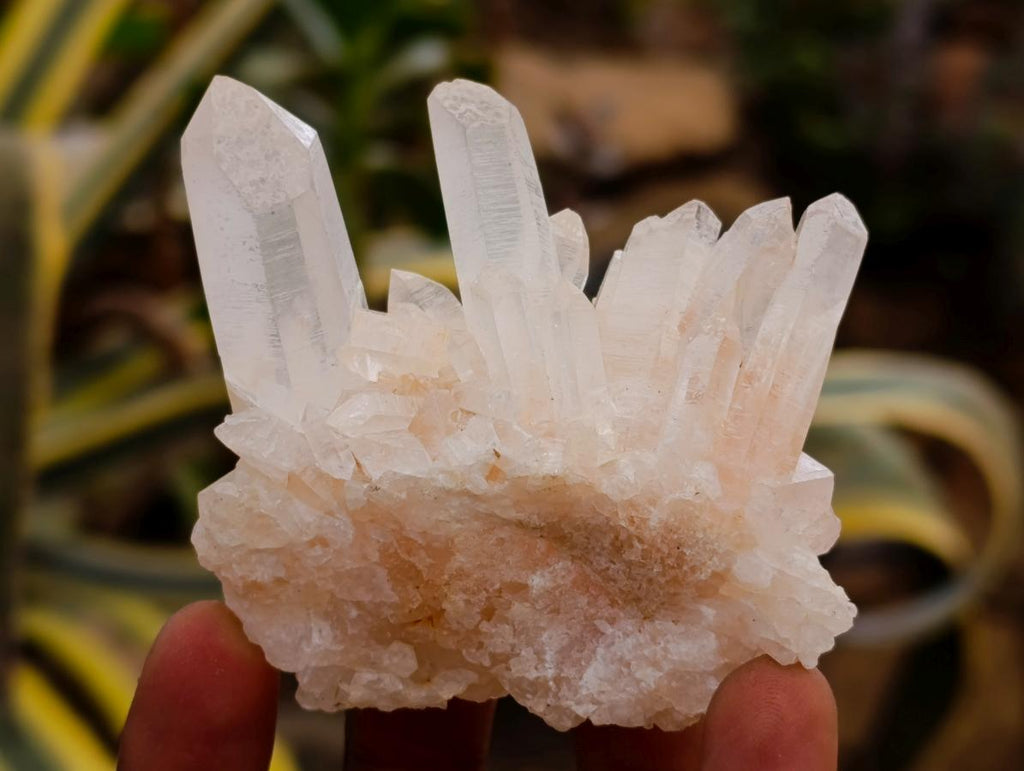 Natural Quartz Clusters x 13 From Madagascar - Toprock Gemstones and Minerals 