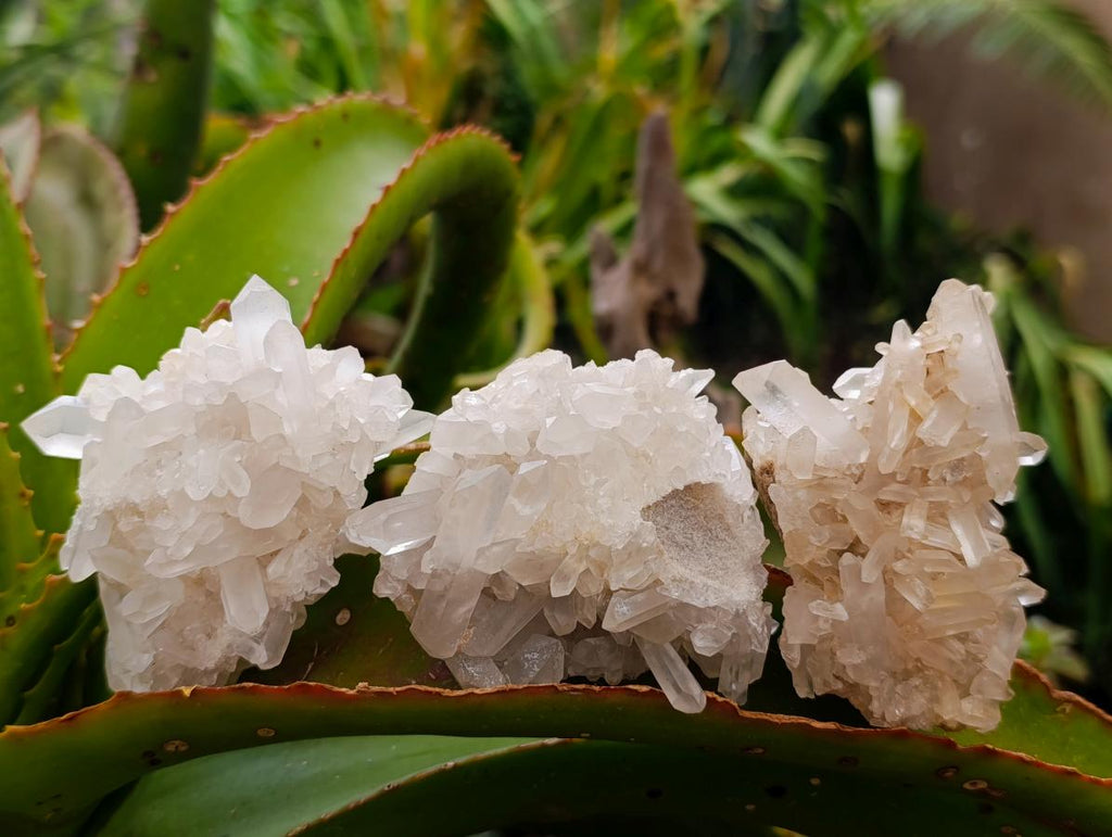 Natural Quartz Clusters x 13 From Madagascar - Toprock Gemstones and Minerals 