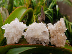 Natural Quartz Clusters x 13 From Madagascar - Toprock Gemstones and Minerals 