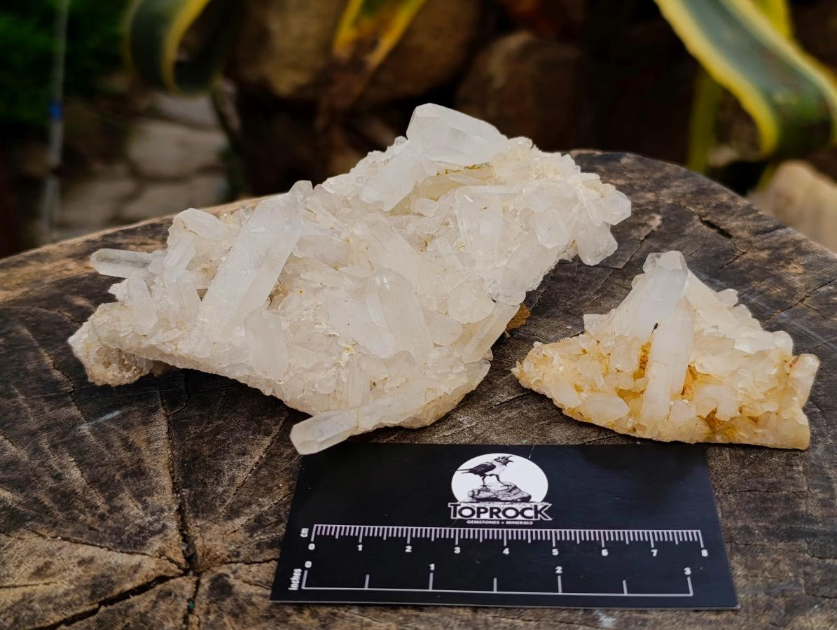 Natural Quartz Clusters x 13 From Madagascar - Toprock Gemstones and Minerals 