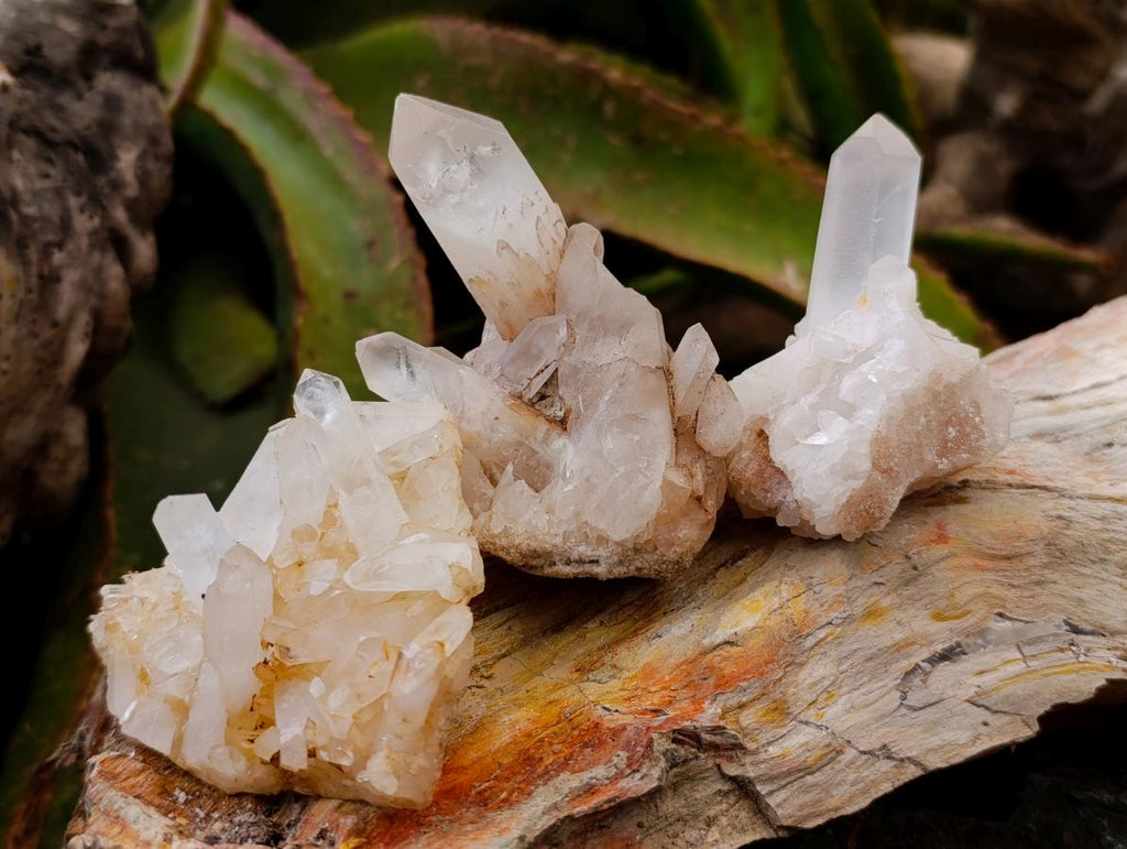 Natural Quartz Clusters x 13 From Madagascar - Toprock Gemstones and Minerals 