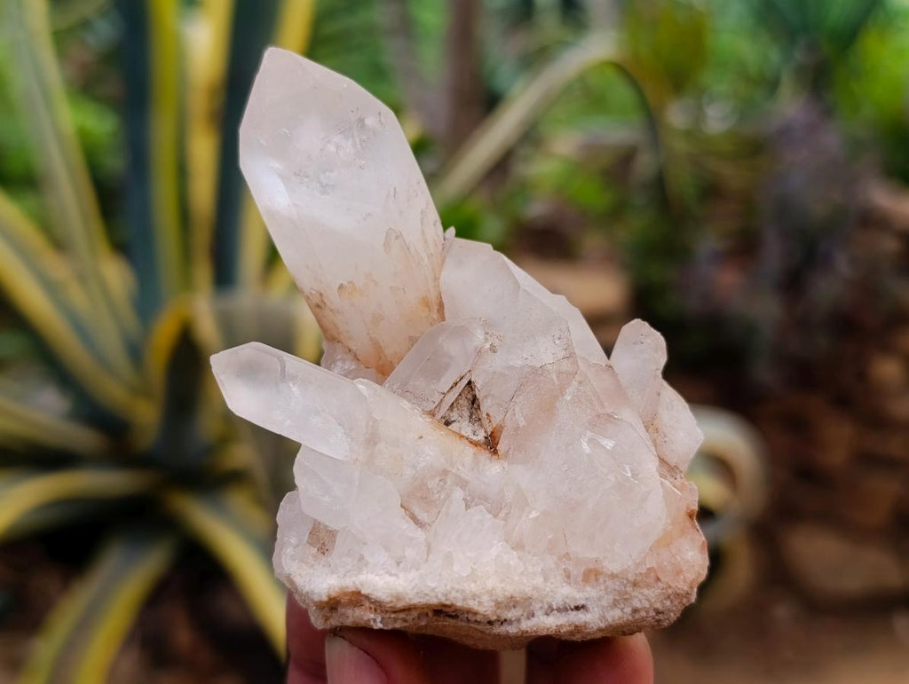 Natural Quartz Clusters x 13 From Madagascar - Toprock Gemstones and Minerals 