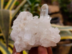 Natural Quartz Clusters x 13 From Madagascar - Toprock Gemstones and Minerals 