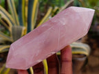Polished Double Terminated Gemmy Rose Quartz Crystals x 6 From Madagascar - Toprock Gemstones and Minerals 