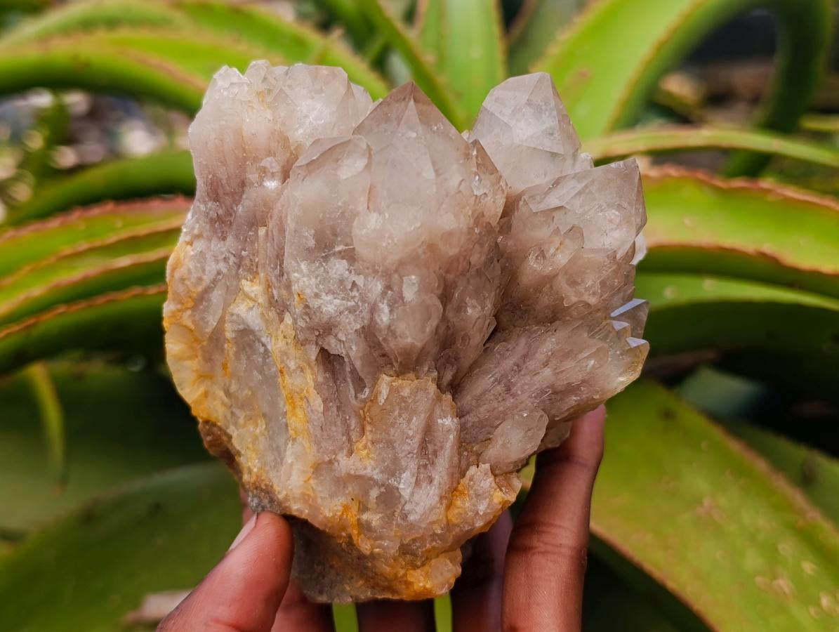 Natural White Phantom Cascading Smokey Luena Quartz Clusters x 3 From Luena, Congo - Toprock Gemstones and Minerals 