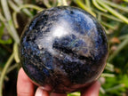 Polished Iolite Water Sapphire Spheres x 4 From North Cape, South Africa - Toprock Gemstones and Minerals 