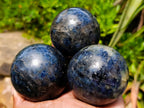 Polished Iolite Water Sapphire Spheres x 4 From North Cape, South Africa - Toprock Gemstones and Minerals 