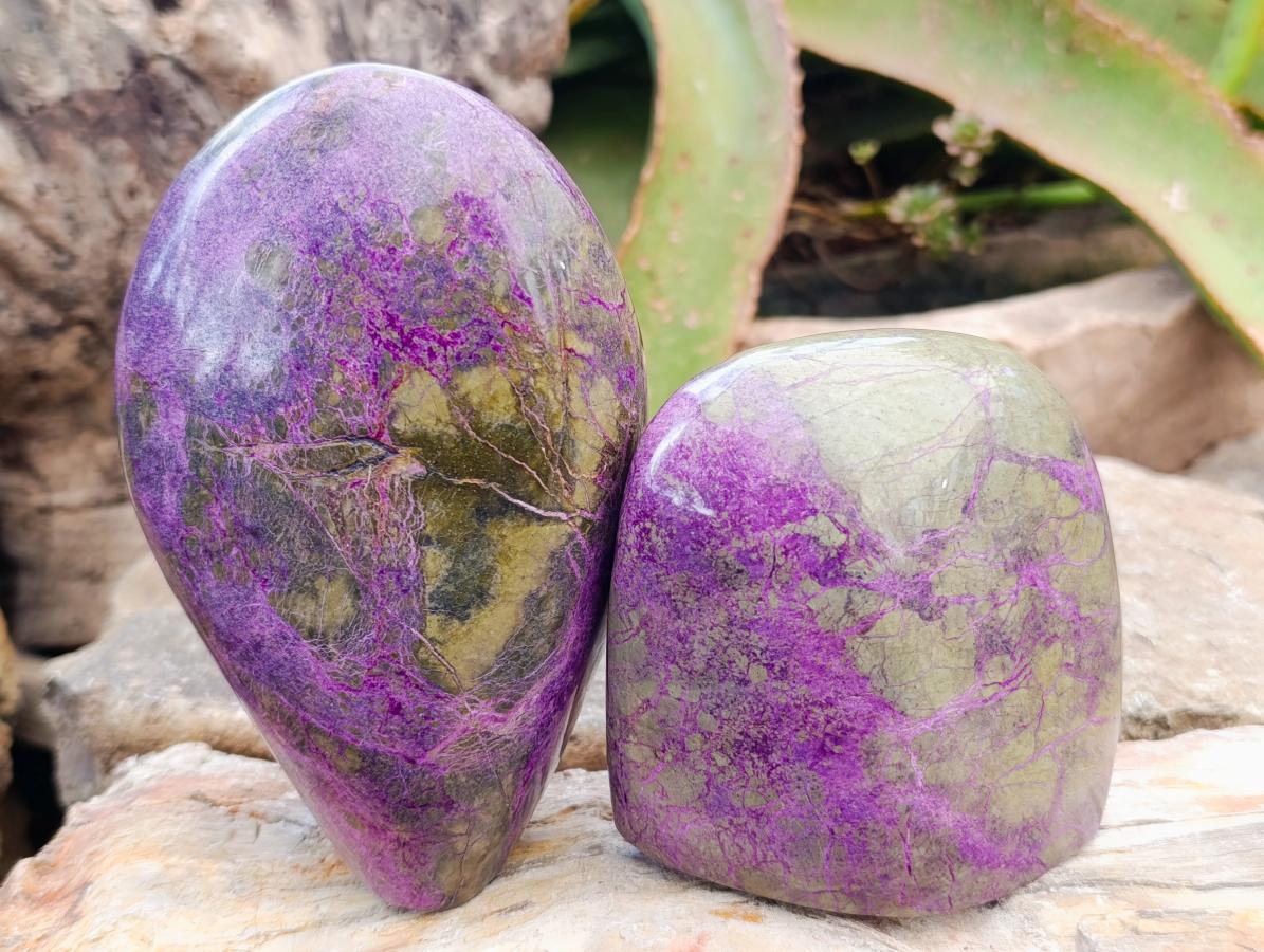 Polished Stichtite Standing Free Forms x 2 From Barberton, South Africa - Toprock Gemstones and Minerals 