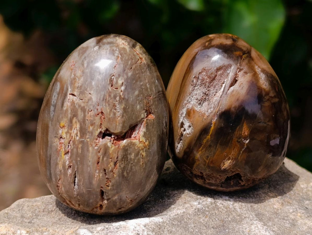 Polished Dadoxylon Petrified Wood Eggs and Free Forms x 17 From Gokwe, Zimbabwe - Toprock Gemstones and Minerals 