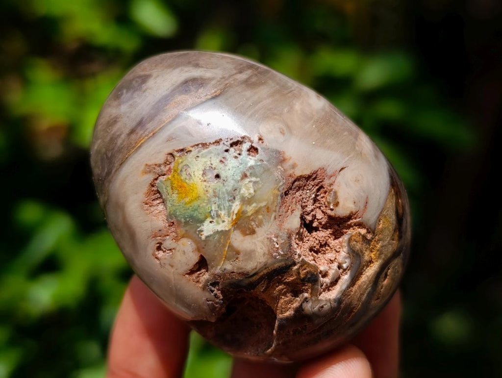 Polished Dadoxylon Petrified Wood Eggs and Free Forms x 17 From Gokwe, Zimbabwe - Toprock Gemstones and Minerals 
