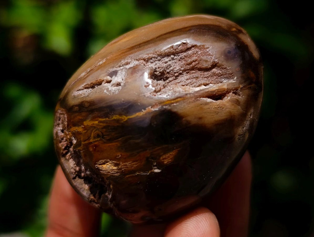 Polished Dadoxylon Petrified Wood Eggs and Free Forms x 17 From Gokwe, Zimbabwe - Toprock Gemstones and Minerals 