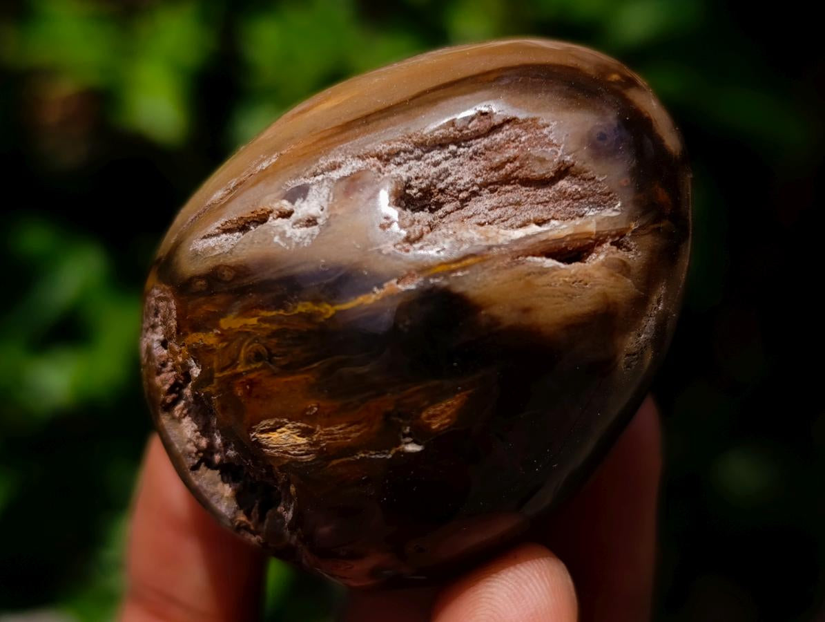 Polished Dadoxylon Petrified Wood Eggs and Free Forms x 17 From Gokwe, Zimbabwe - Toprock Gemstones and Minerals 