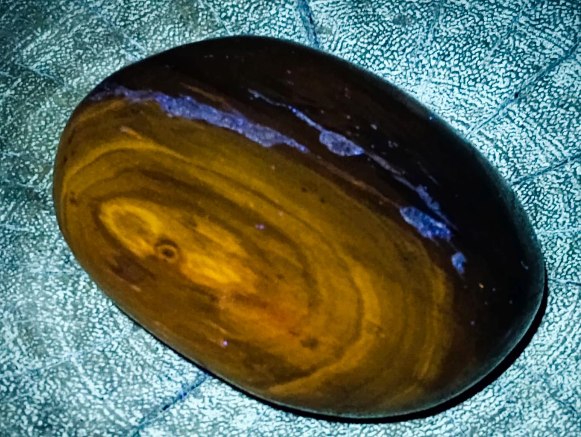 Polished Dadoxylon Petrified Wood Eggs and Free Forms x 17 From Gokwe, Zimbabwe - Toprock Gemstones and Minerals 