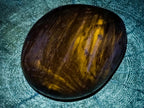 Polished Dadoxylon Petrified Wood Eggs and Free Forms x 17 From Gokwe, Zimbabwe - Toprock Gemstones and Minerals 