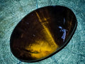 Polished Dadoxylon Petrified Wood Eggs and Free Forms x 17 From Gokwe, Zimbabwe - Toprock Gemstones and Minerals 