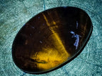 Polished Dadoxylon Petrified Wood Eggs and Free Forms x 17 From Gokwe, Zimbabwe - Toprock Gemstones and Minerals 