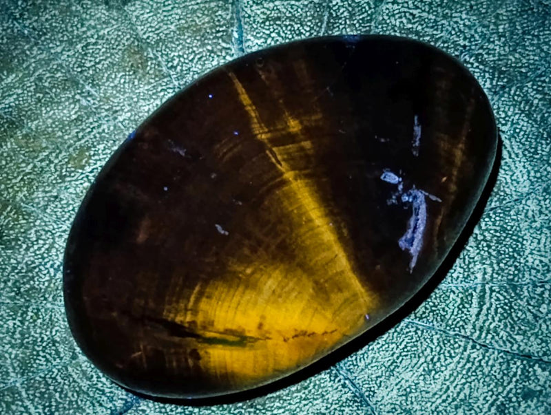 Polished Dadoxylon Petrified Wood Eggs and Free Forms x 17 From Gokwe, Zimbabwe - Toprock Gemstones and Minerals 