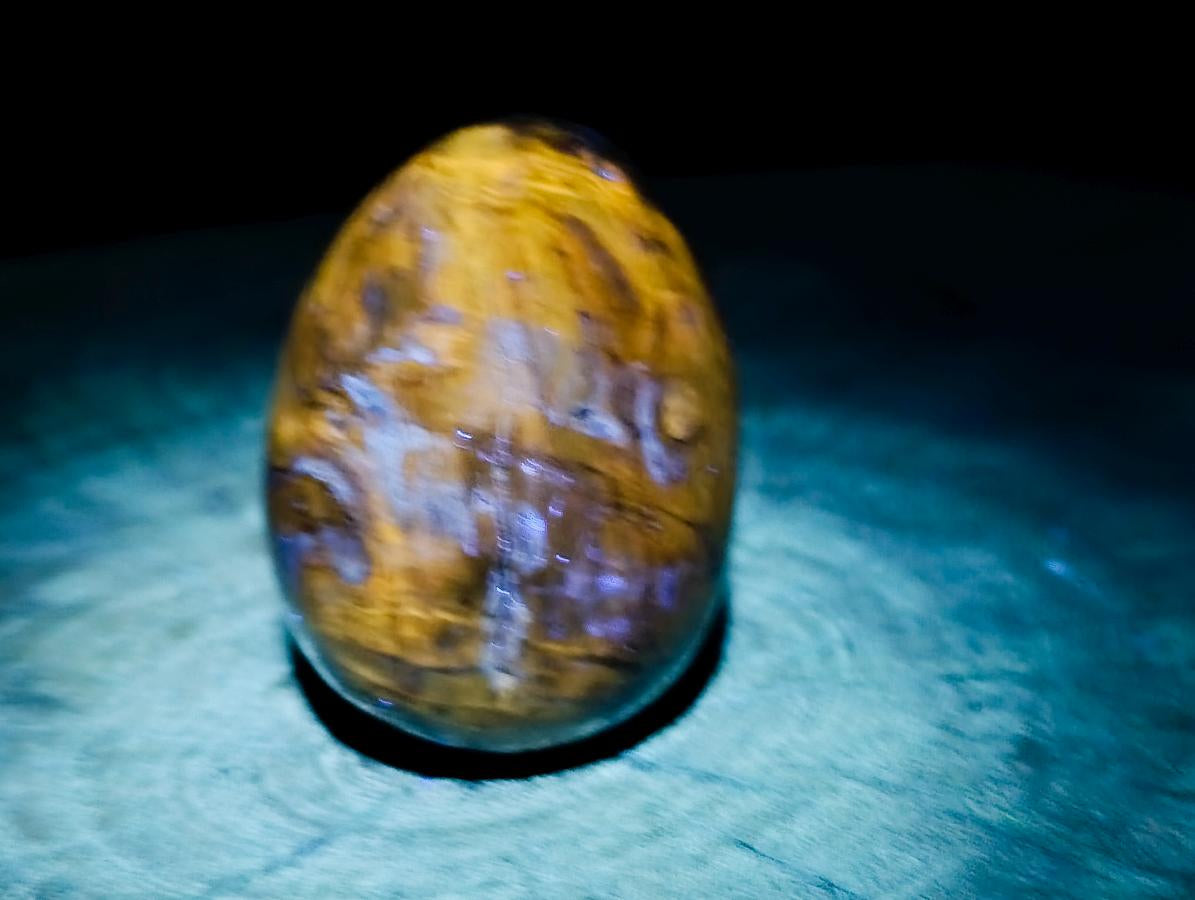 Polished Dadoxylon Petrified Wood Eggs and Free Forms x 17 From Gokwe, Zimbabwe - Toprock Gemstones and Minerals 