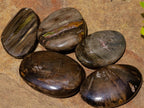Polished Dadoxylon Petrified Wood Eggs and Free Forms x 17 From Gokwe, Zimbabwe - Toprock Gemstones and Minerals 