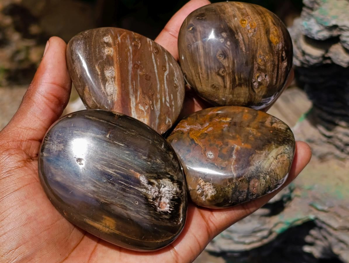 Polished Dadoxylon Petrified Wood Eggs and Free Forms x 17 From Gokwe, Zimbabwe - Toprock Gemstones and Minerals 