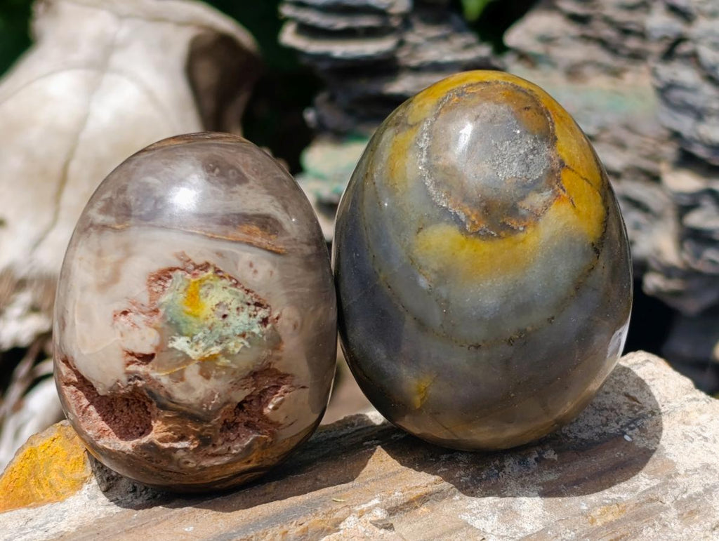 Polished Dadoxylon Petrified Wood Eggs and Free Forms x 17 From Gokwe, Zimbabwe - Toprock Gemstones and Minerals 