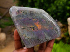Polished Rare Purple Sunset Flash Labradorite Standing Free Forms x 3 From Madagascar - Toprock Gemstones and Minerals 